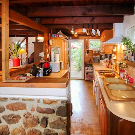 Wood House Tatil Evi *